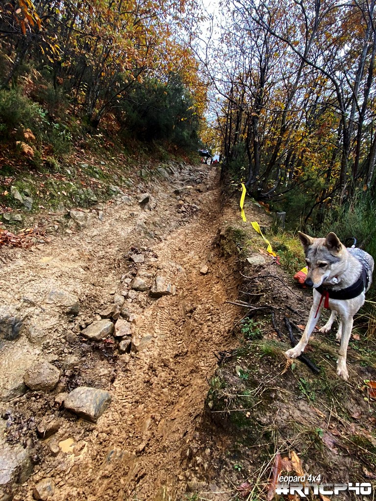 40° Raduno Nazionale delle Colline Pistoiesi - foto 14